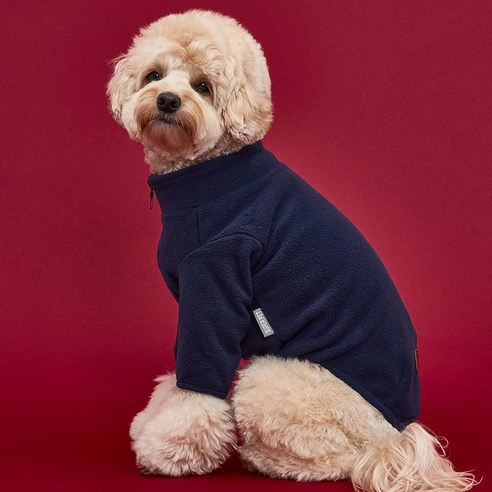 강아지후리스 추천 Top 1 이미지