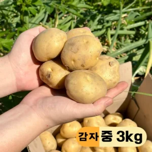 Read more about the article 맛있고 신선한 국내산 햇감자, 3kg로 즐기는 여름의 맛