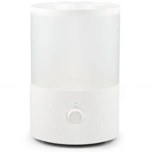 Read more about the article 듀플렉스 무드등 대용량 가습기 3.5L – 실제 리뷰!
